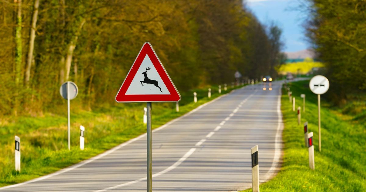 Road Safety & Trips